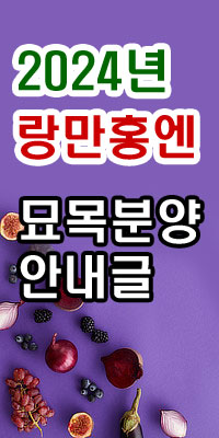 2024년 랑만홍옌포도 묘목 분양안내